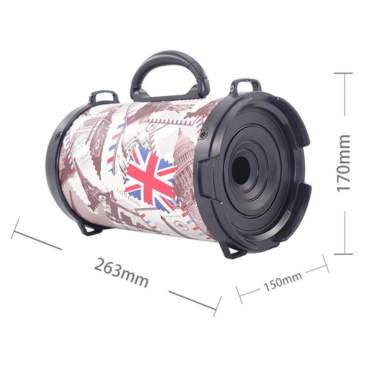 Loa gỗ Bluetooth xách tay D B28