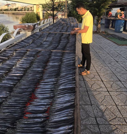 Khô cá kèo 1kg