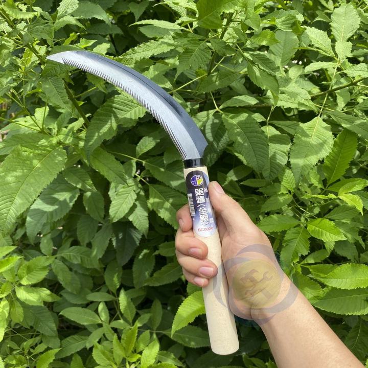 LƯỠI LIỀM BUDDY BC0020