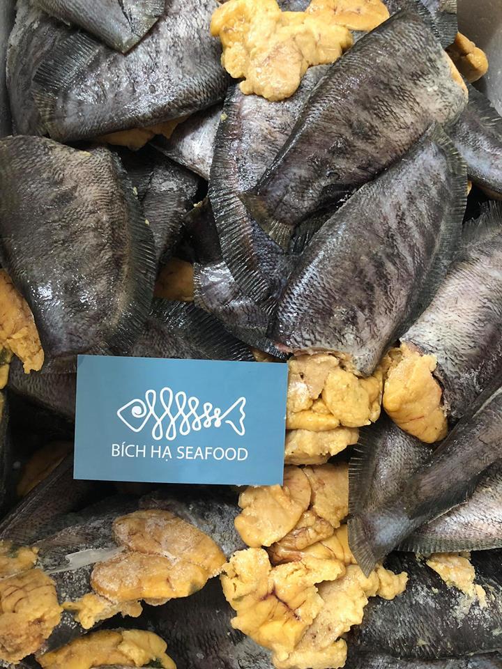 CÁ SẶC TRỨNG