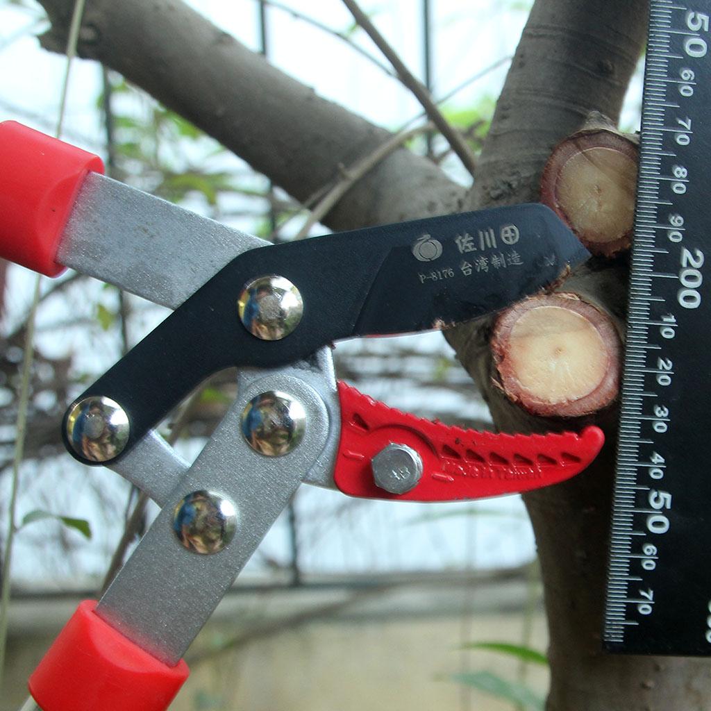 KÉO CẮT CÀNH SAGAWA 8176