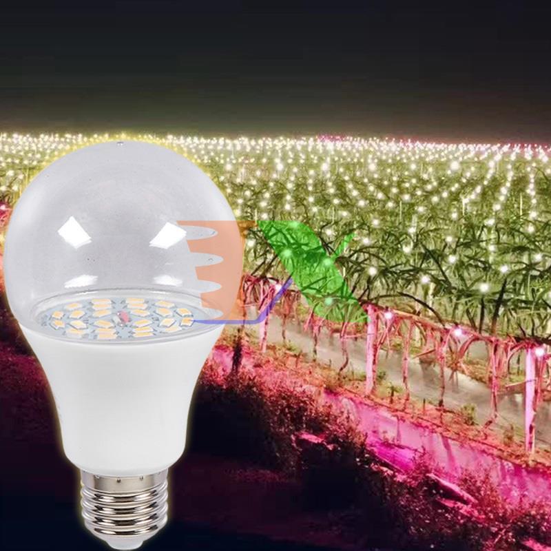 ĐÈN TRỒNG CÂY THANH LONG DRG-15W