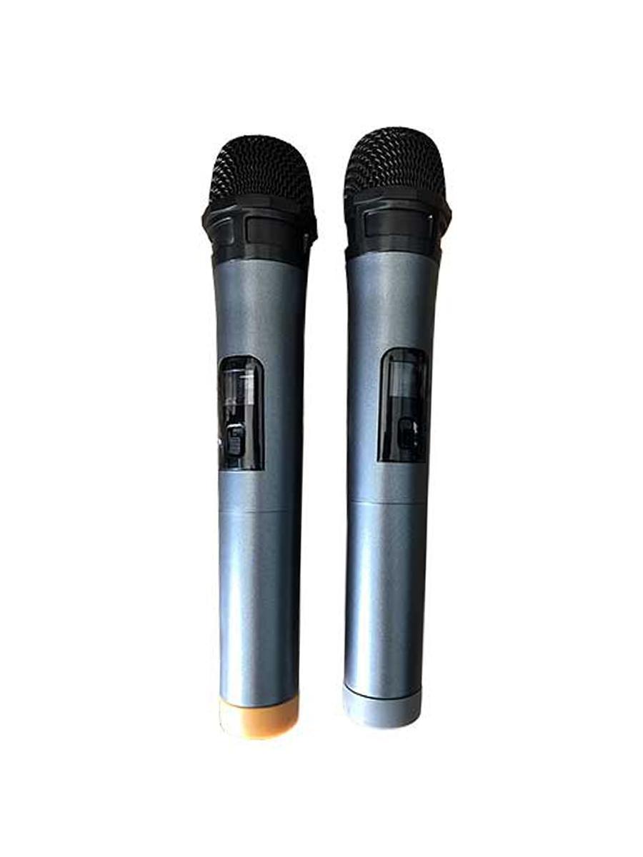 Loa kéo di động Leong DJ K5