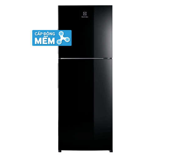 Tủ Lạnh Electrolux ETB2802J 256 Lít