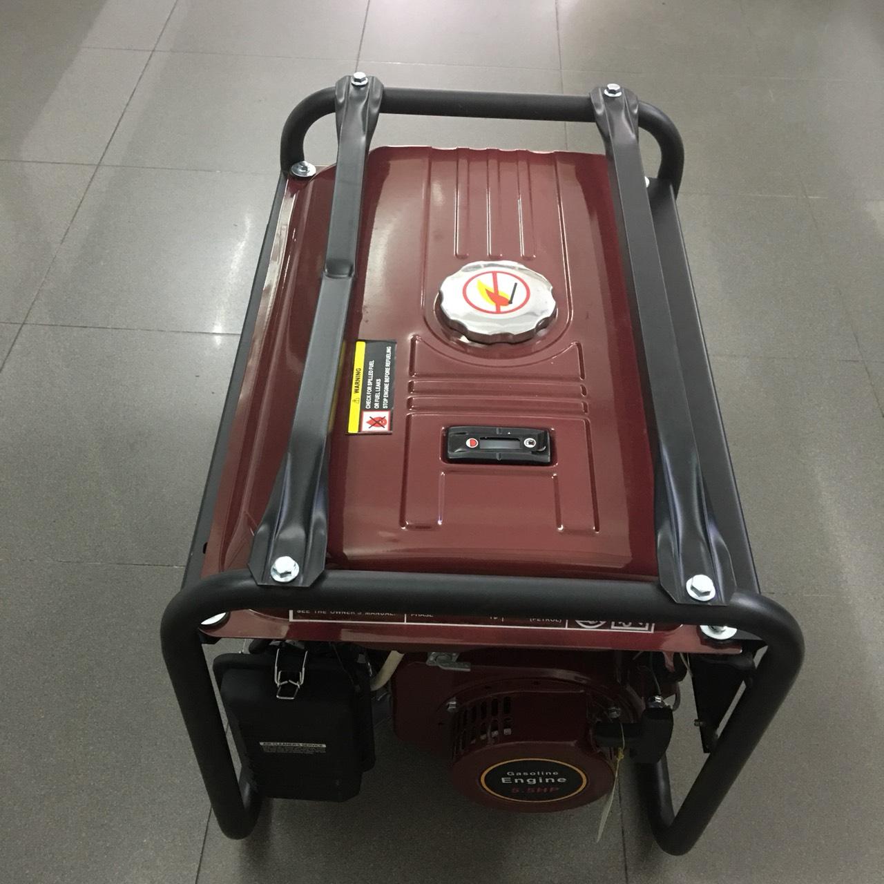 Máy phát điện GENERGY WG2900DX/WG2900DXE