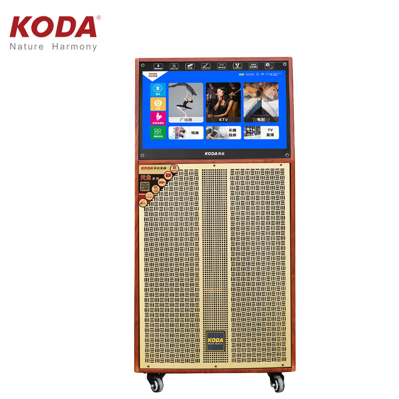 Loa kéo di động Koda KD15C
