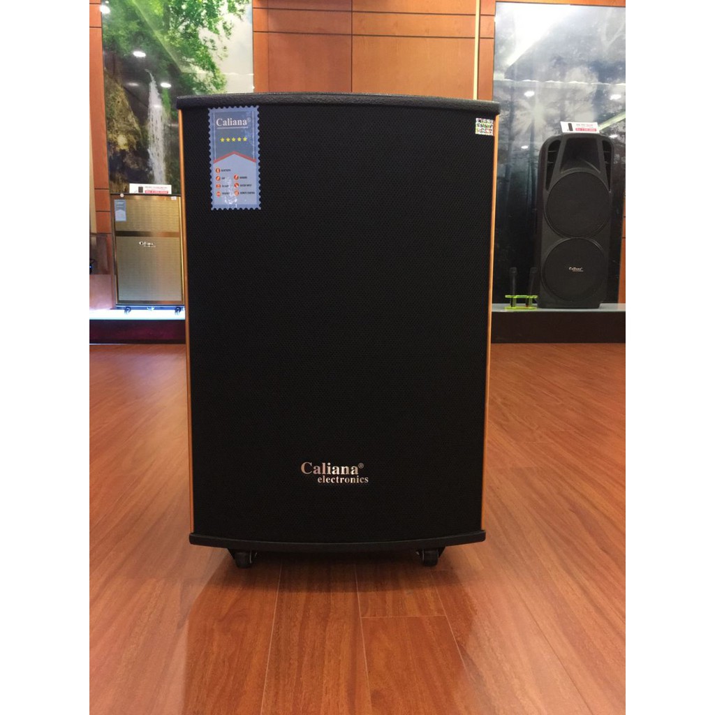 Loa kéo di động Caliana WD-15B