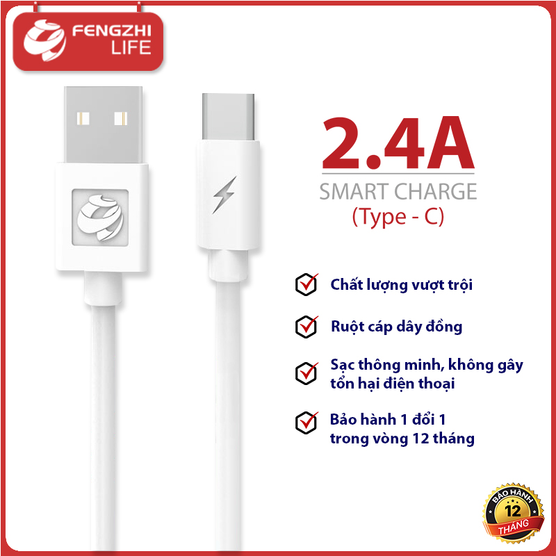 CÁP SẠC FENGZHI X100