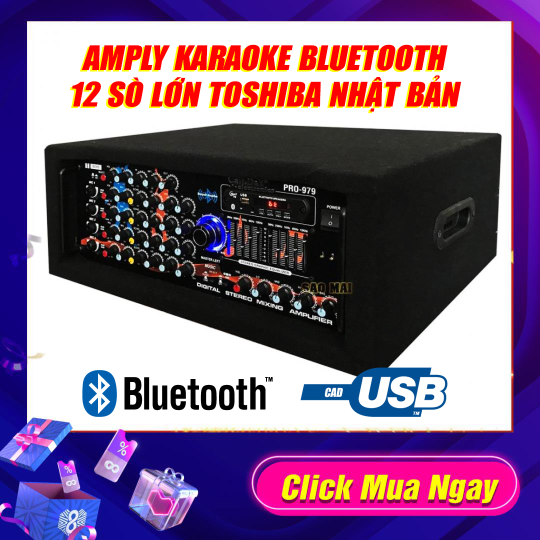 Amply karaoke gia đình Cali.D&Y PRO-979/989D