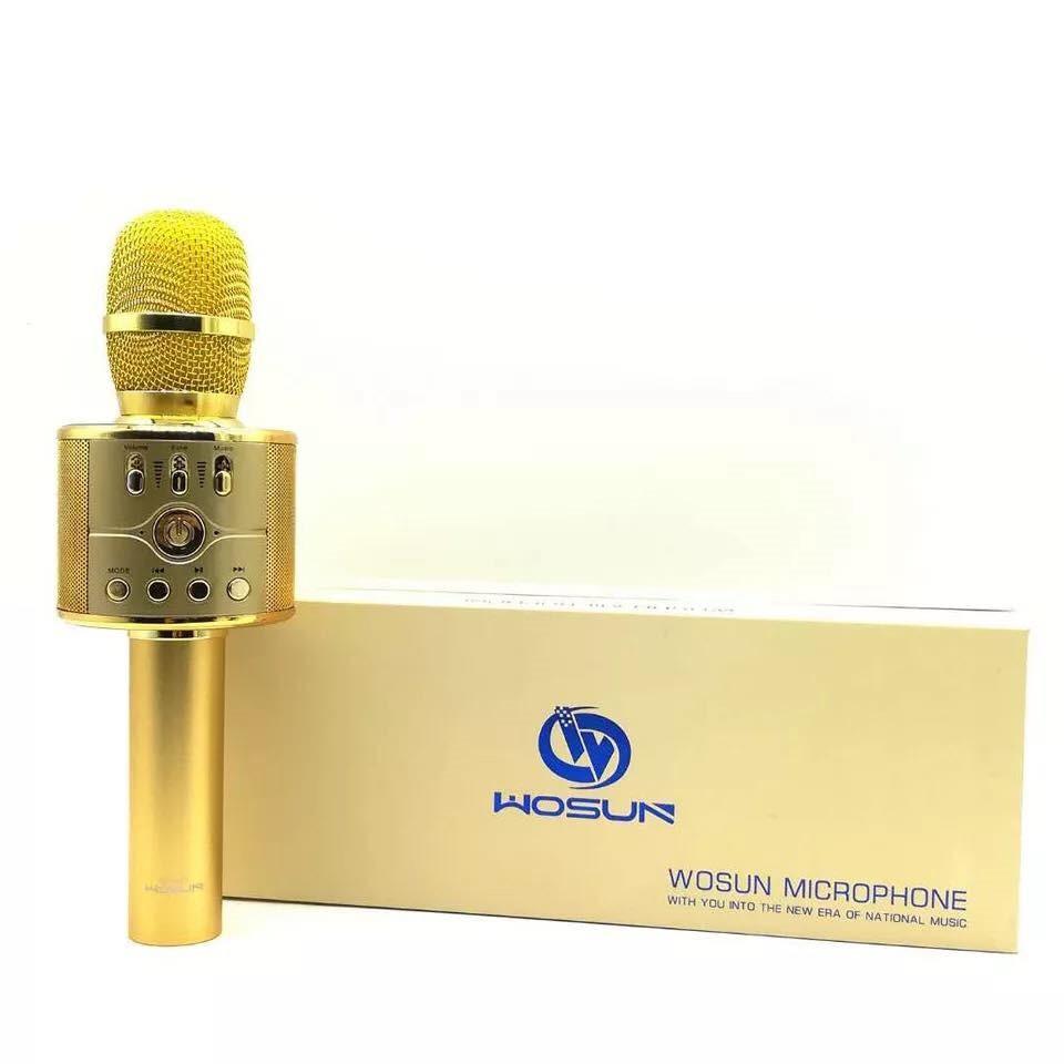 Micro kèm loa bluetooth WK868