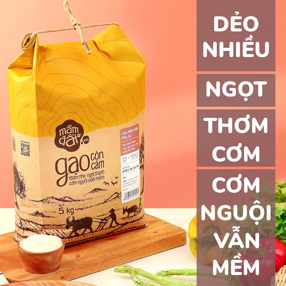 Gạo Mầm Đất 5kg