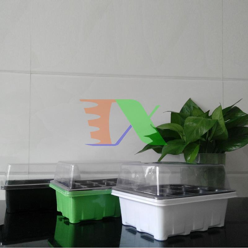 Bộ khay ươm cây, khay ươm hạt, vỉ ươm