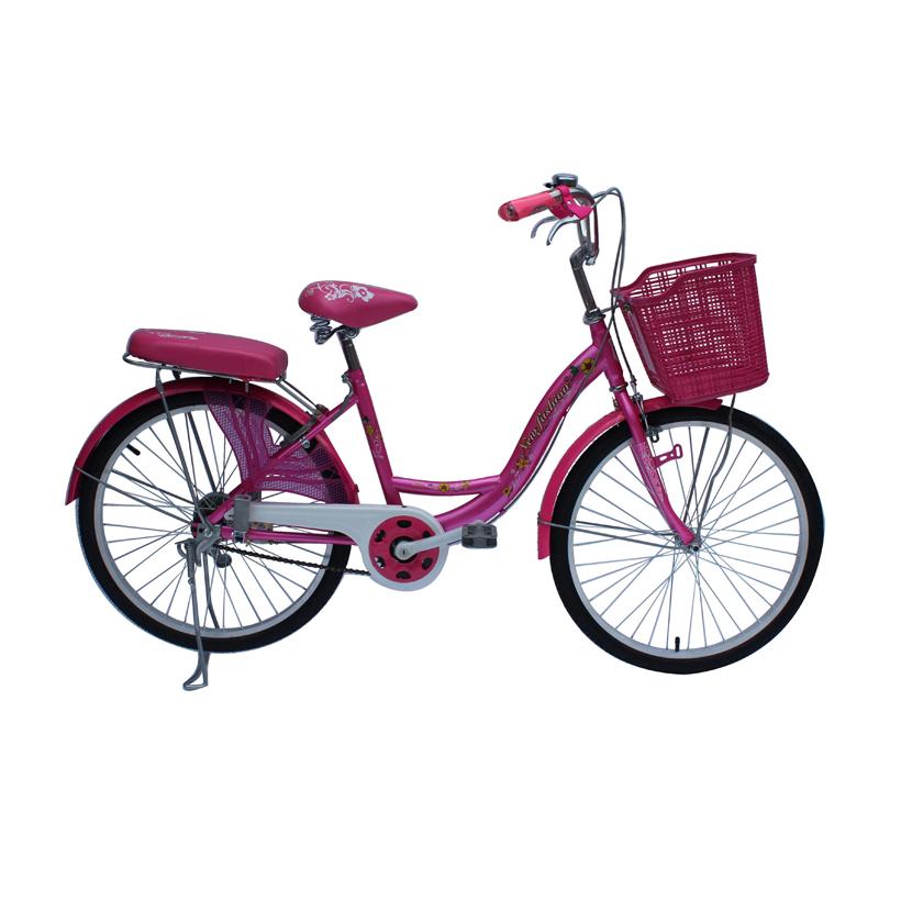 XE ĐẠP SMNBIKE WR 24-01