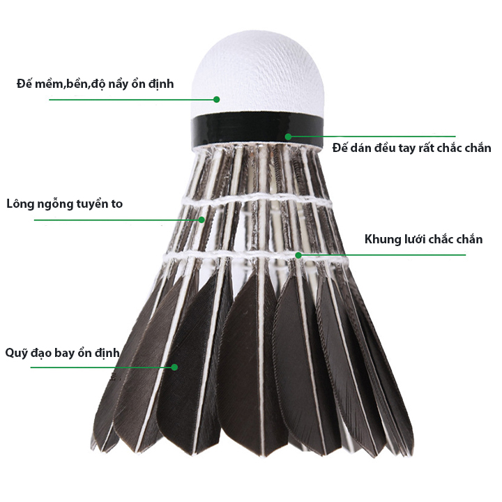 HỘP 12 QUẢ CẦU LÔNG ĐEN CL12