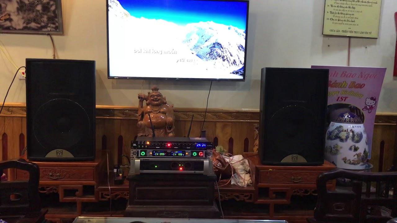 Micro không dây Shure UGX20II