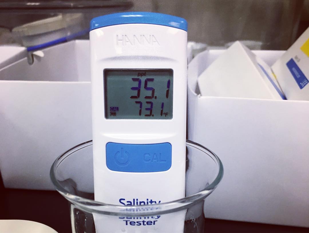 Bút đo độ mặn, nhiệt độ Hana HI98319