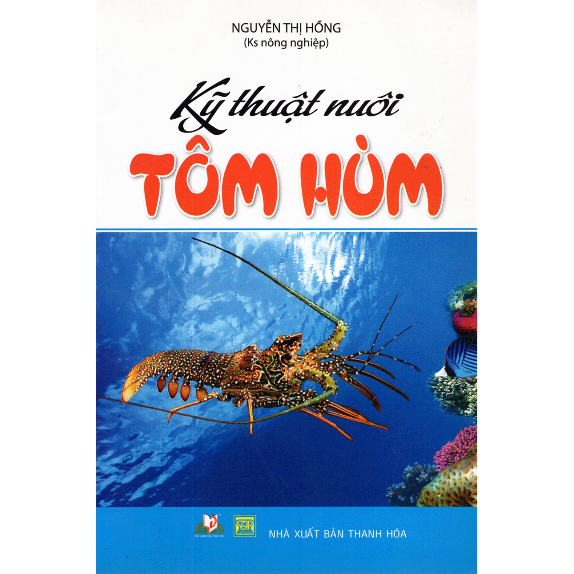 Kỹ Thuật Nuôi Tôm Hùm