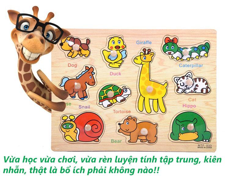 Bảng Gỗ Ghép Hình Có Núm - Lớp học
