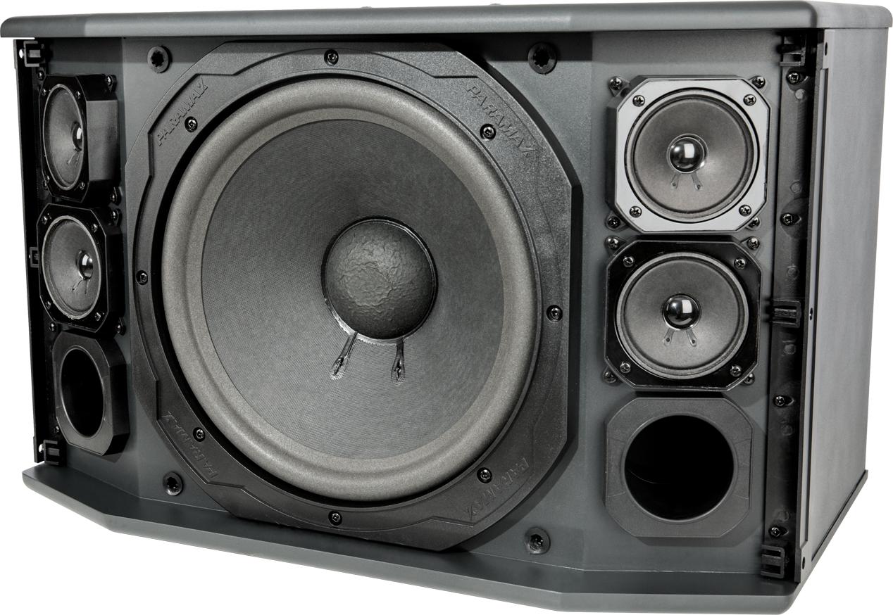 Loa Paramax Pro C10