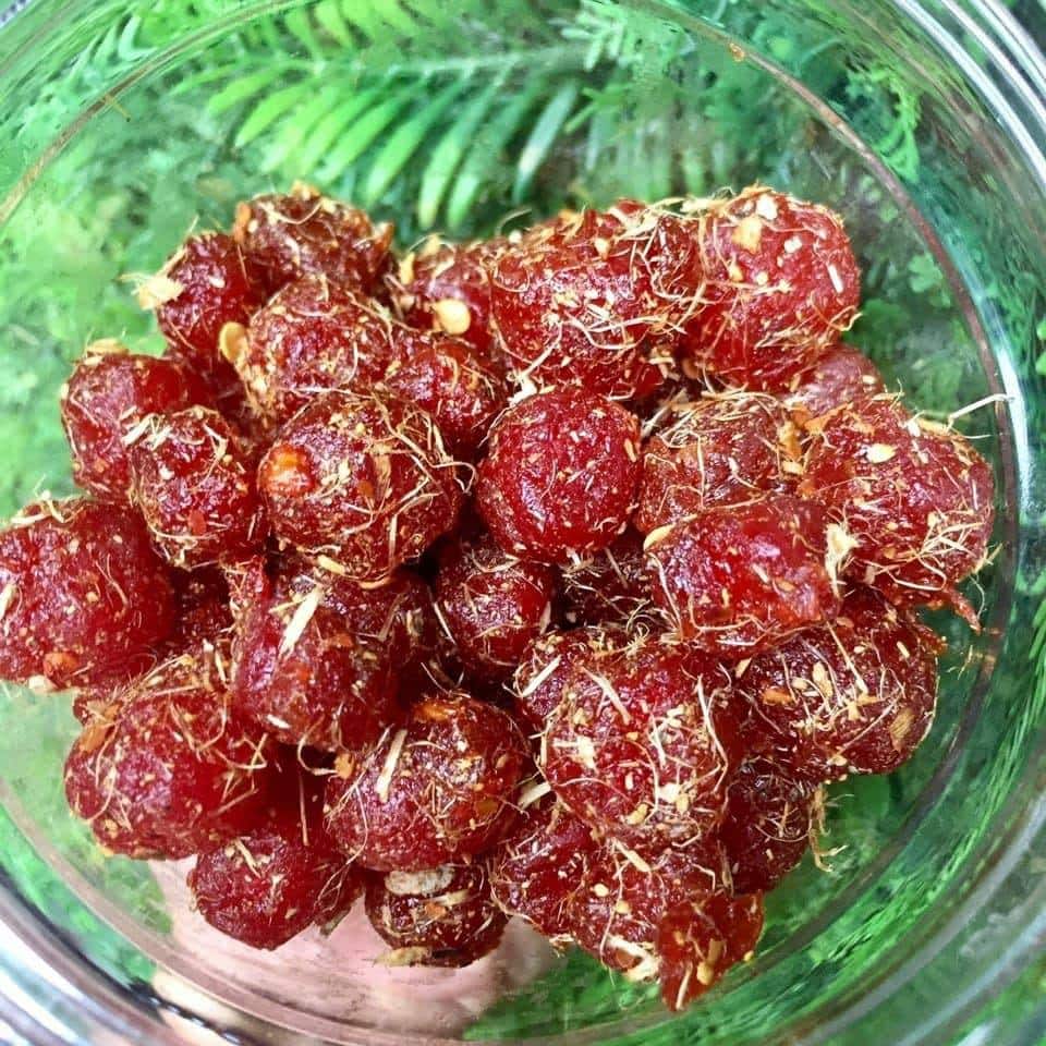 Chùm ruột cam thảo