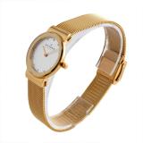 Đồng hồ nữ Skagen 358SGGD