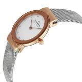 Đồng hồ nữ Skagen 358SRSC