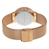 Đồng hồ nữ Skagen SKW2068