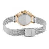 Đồng Hồ Nữ Skagen SKW1069