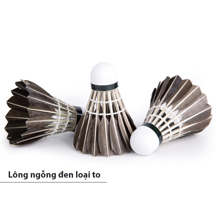 HỘP 12 QUẢ CẦU LÔNG ĐEN CL12