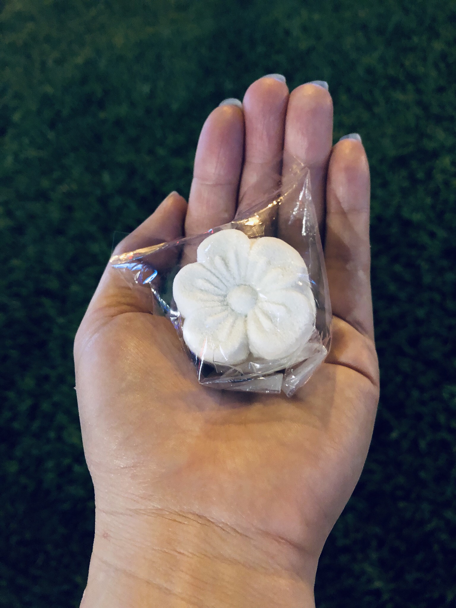Món Ngon Miền Tây