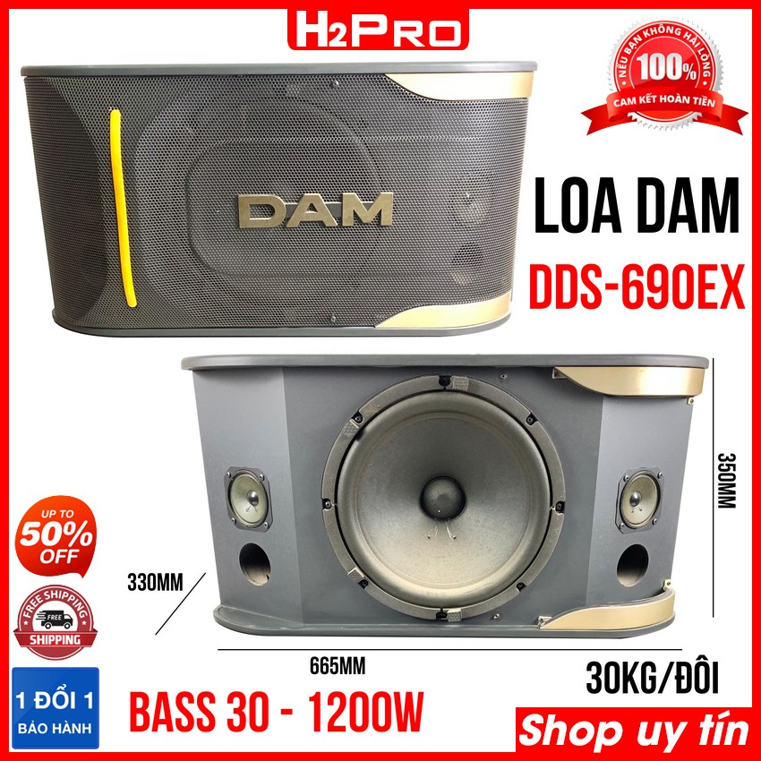 Loa DAM DDS-690EX