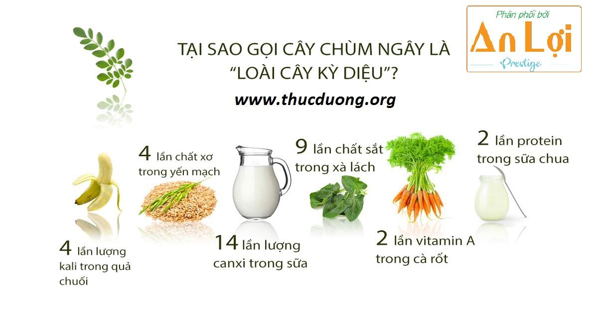 Bún Chùm Ngây Morice