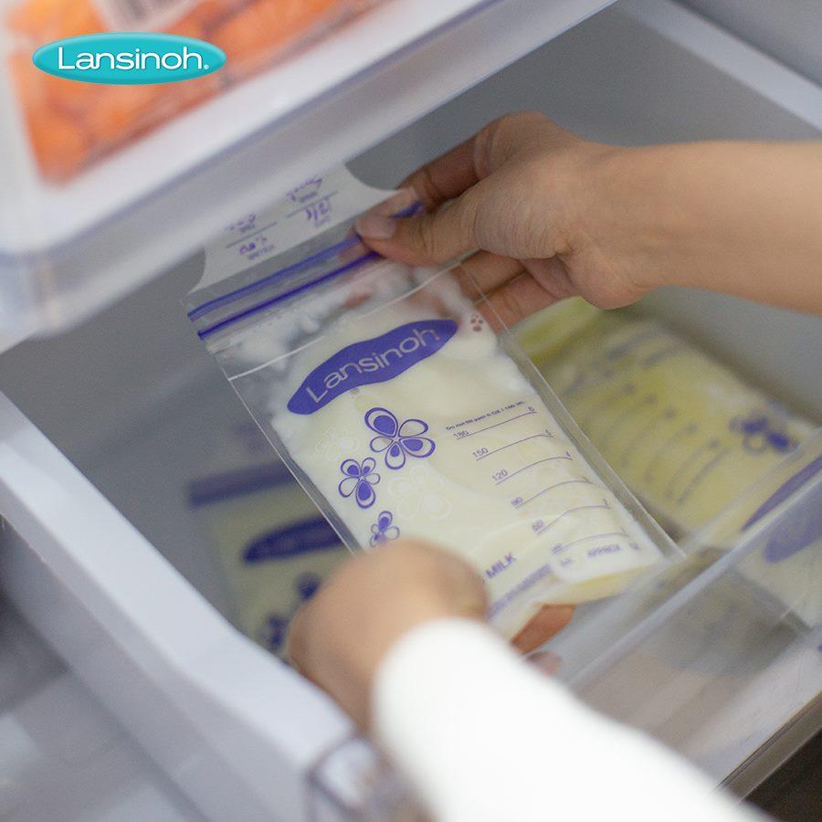 Túi trữ sữa mẹ Lansinoh (50 túi)