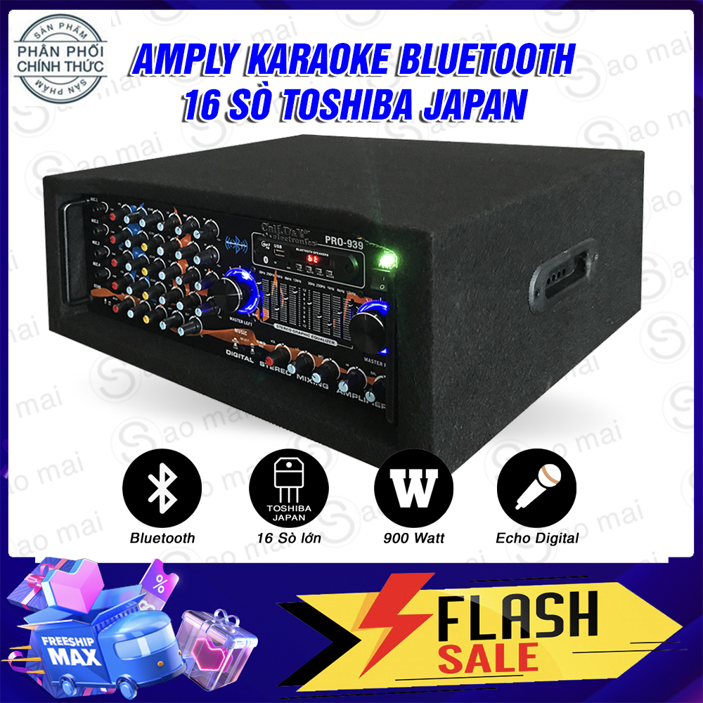 Ampli karaoke Cali.D&Y PRO-939