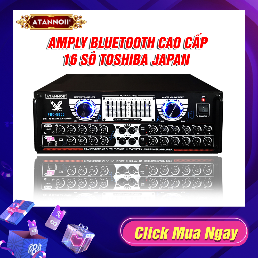 Amply ATANNOII PRO-5900