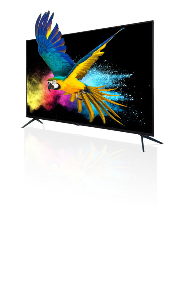 Smart Tivi Asanzo 55 inch 4K 55SL800