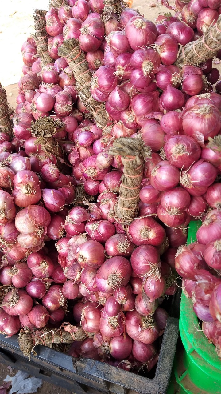 Hành tím Sóc Trăng 1kg