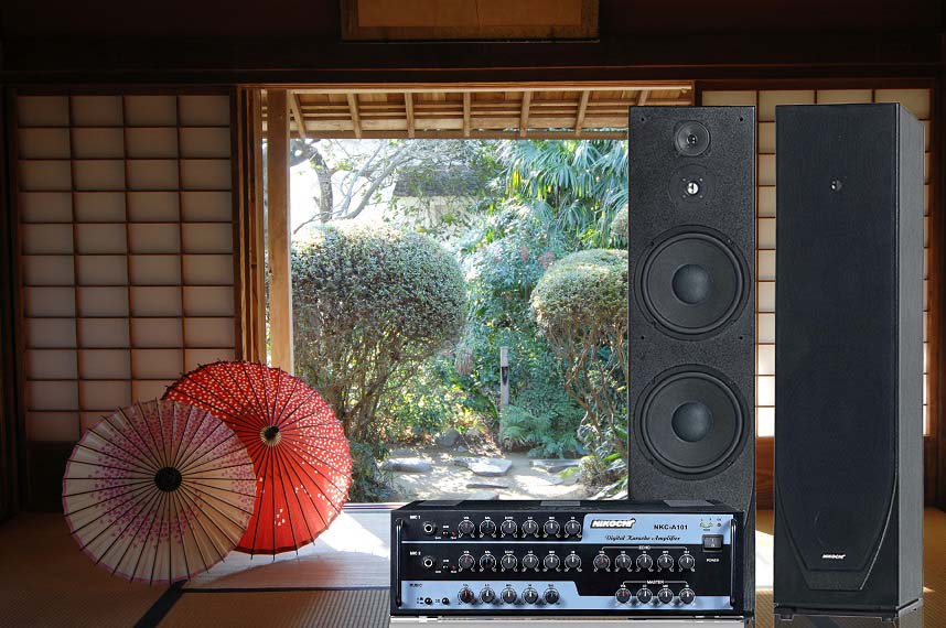 LOA ĐỨNG NIKOCHI NK-910