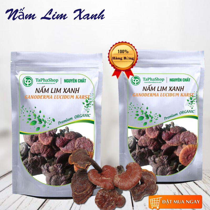 Nấm Lim Xanh Nông Lâm Cao Cấp (500g)