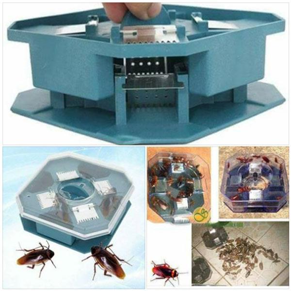 Dụng cụ bắt gián