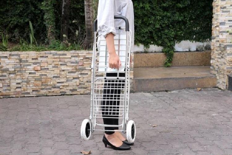 Xe kéo đi chợ cao cấp HomeStar 201