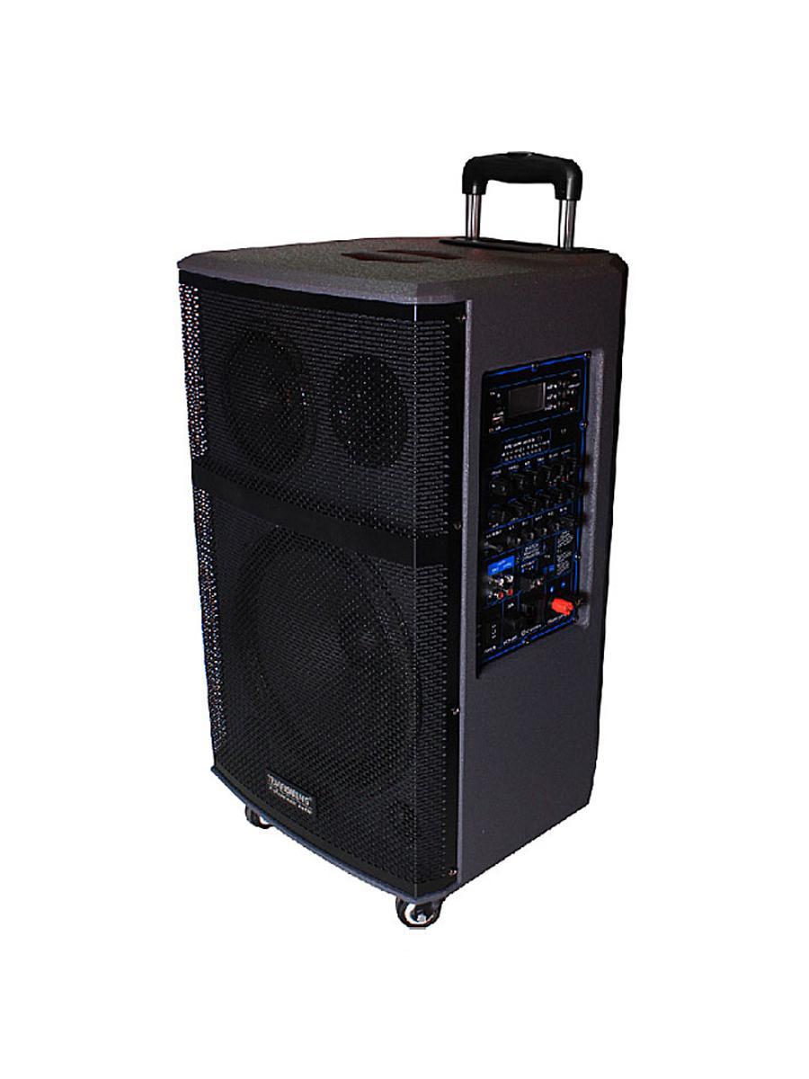 LOA KÉO DI ĐỘNG TEMEISHENG A177
