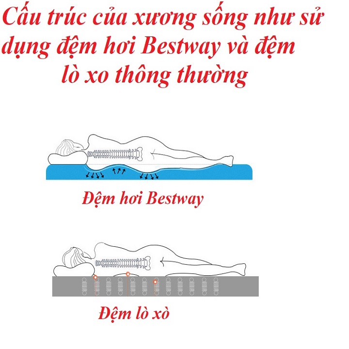 NỆM HƠI BESTWAY 67003