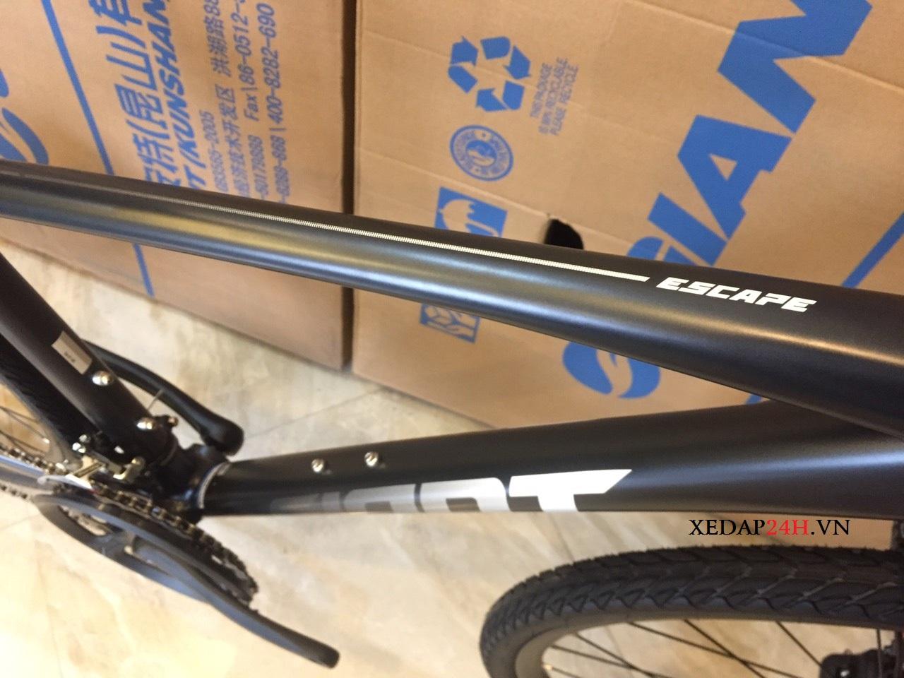 Xe đạp thể thao GIANT ESCAPE 1