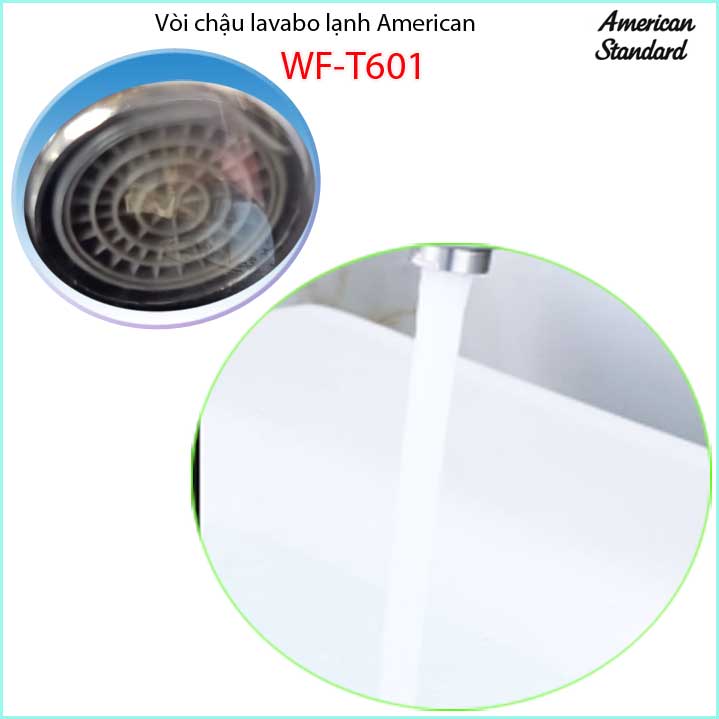 Vòi rửa mặt nước lạnh American Standard WF-T601