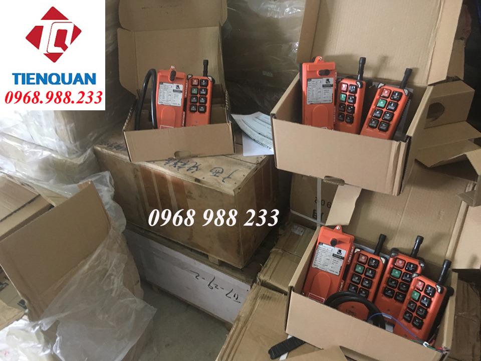BỘ ĐIỀU KHIỂN CẦN TRỤC F21-E1B
