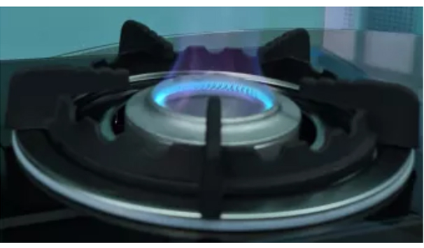 Bếp ga BLUESTAR NG-169IA