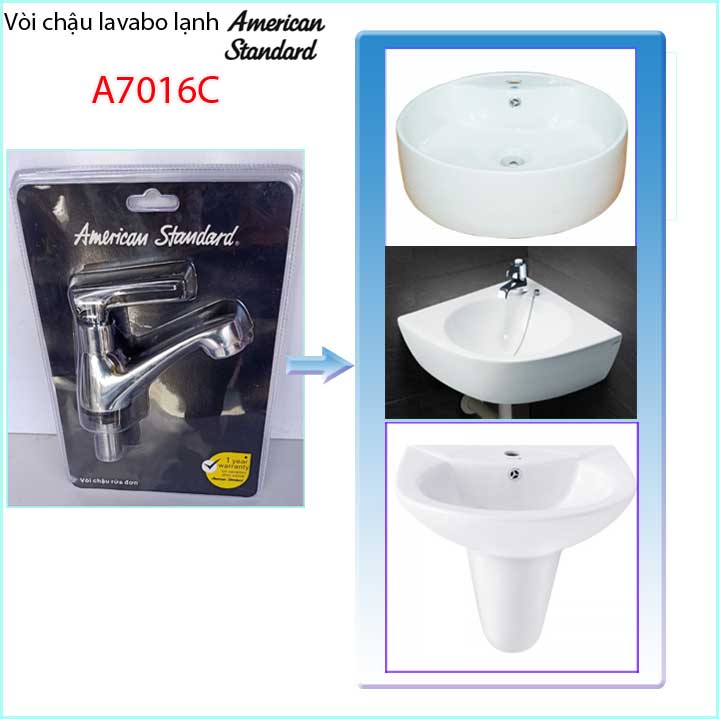 Vòi rửa mặt nước lạnh American Standard WF-T601