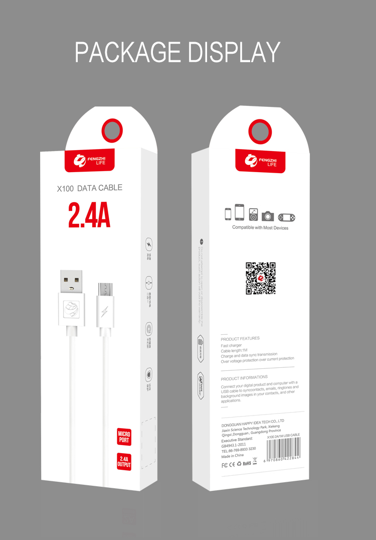 CÁP SẠC FENGZHI X100