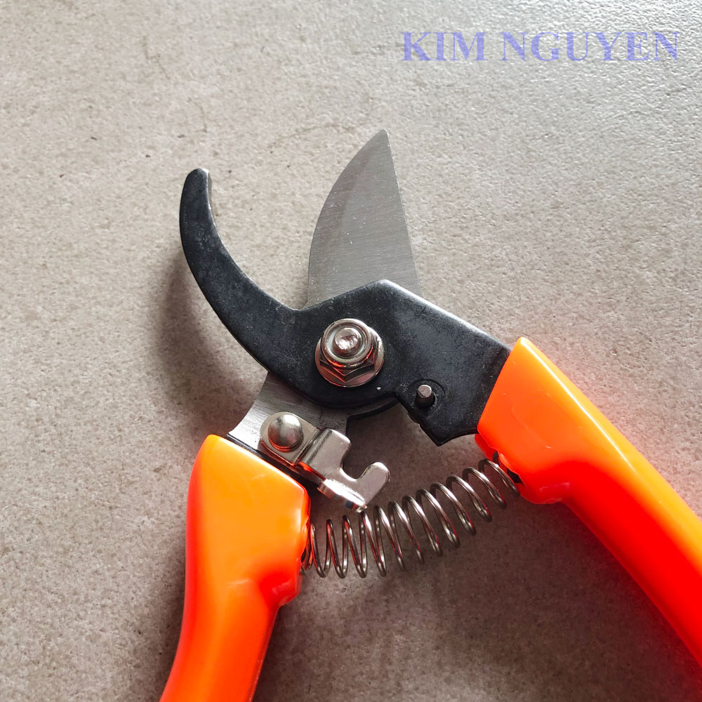 Kéo Cắt Cành Top K-700